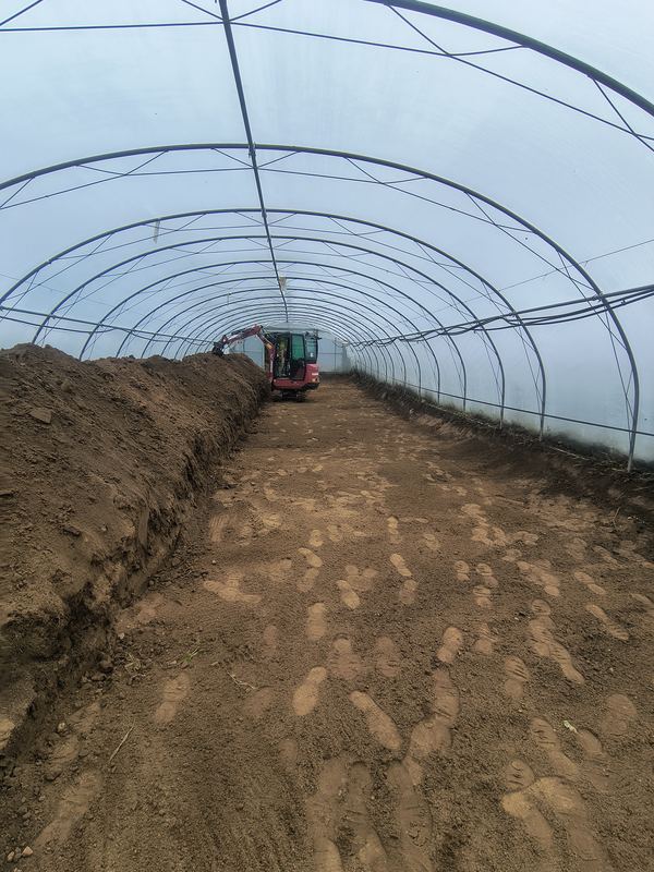 Wykop pod siatkę przeciw kretom w tunelu foliowym w Krynicach, gmina Dobrzyniewo Duże